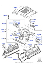 LR034993