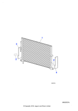 C2S17586 - Jaguar Seal