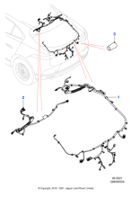 T4K10235 - Jaguar Harness