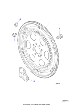 AJ81906 - Jaguar Drive plate