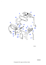 AEU1587 - Jaguar Ring
