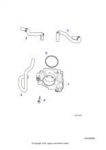 C2S16010 - Jaguar Throttle body hose