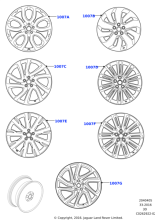 Alloy Wheel - 21" Style 9002, 9 spoke, Diamond Turned finish