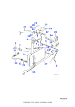 C43999 - Jaguar Hose