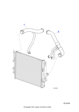 C2C26769 - Jaguar Radiator top hose