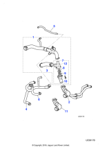 XR849443 - Jaguar Bottom hose