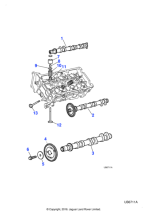 XR816229 - Jaguar Exhaust camshaft