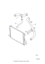 XR825340 - Jaguar Bottom hose