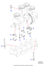 C2Z30460 - Jaguar Bearing - Crankshaft Main