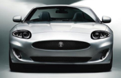 Grille - Black, Lower