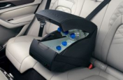 Central Armrest Cooler/Warmer