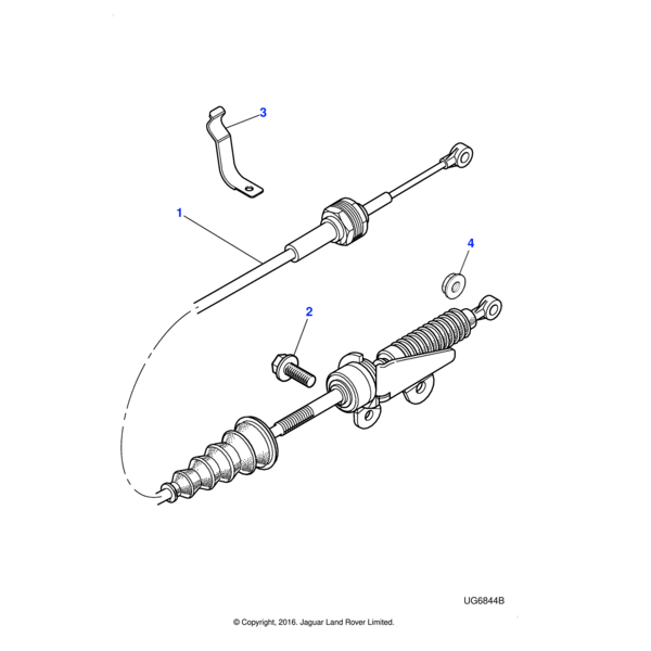XR855991