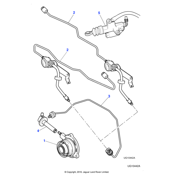 XR855075