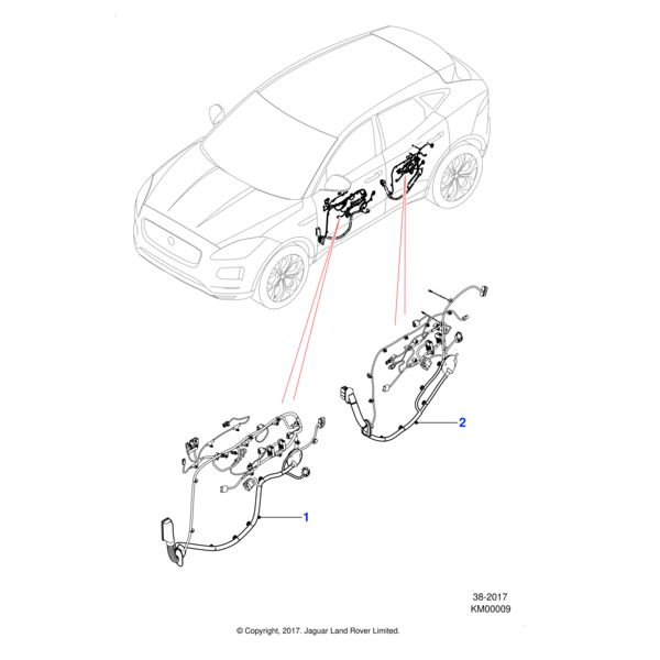 Jaguar Passenger door harness