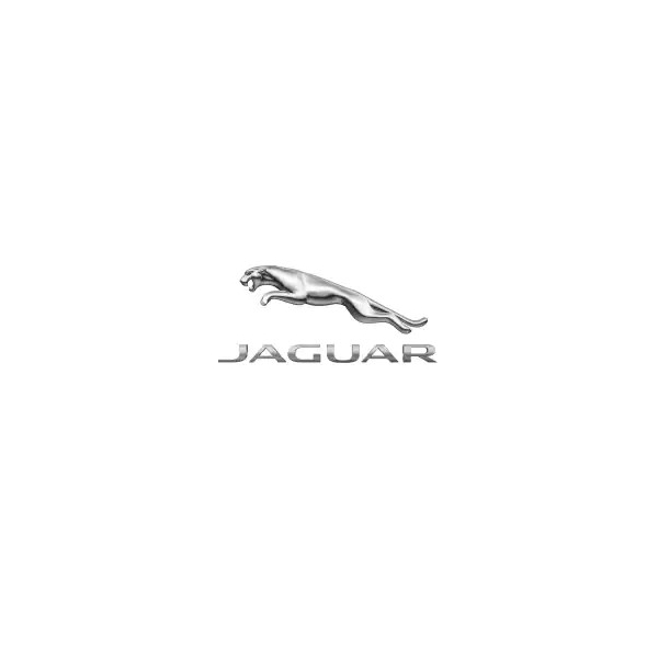Genuine Jaguar Roof Box 