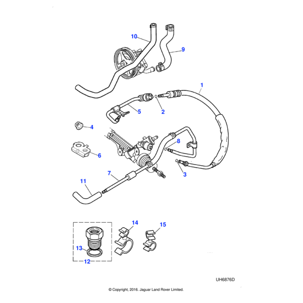 XR815852