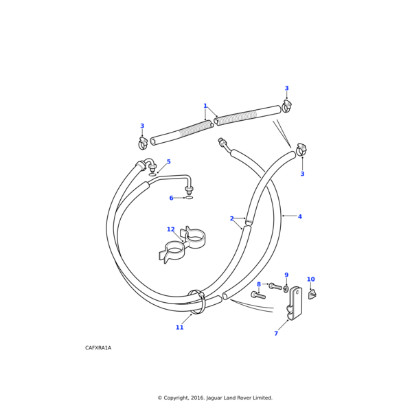 ANR3112