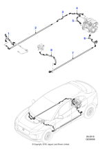 T4K9959 - Jaguar Hose