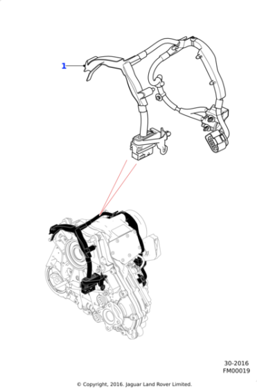 T2H22128 - Jaguar Harness