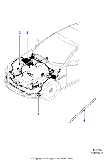 C2D18809 - Jaguar Harness