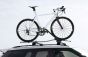 Wheel Mounted Cycle Carrier
