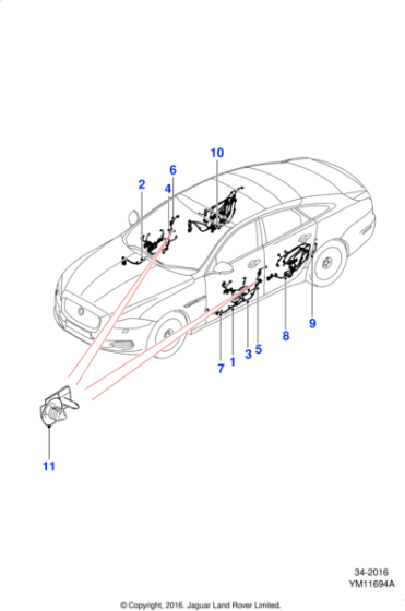 C2D42051 - Jaguar Passenger door harness