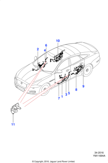 C2D30243 - Jaguar Driver's door harness