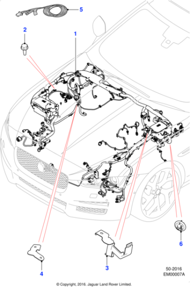 T4N32561 - Jaguar Harness