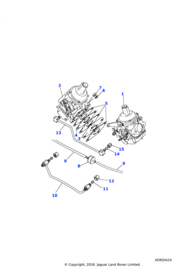 614891 - Land Rover Pipe-carburettor vacuum
