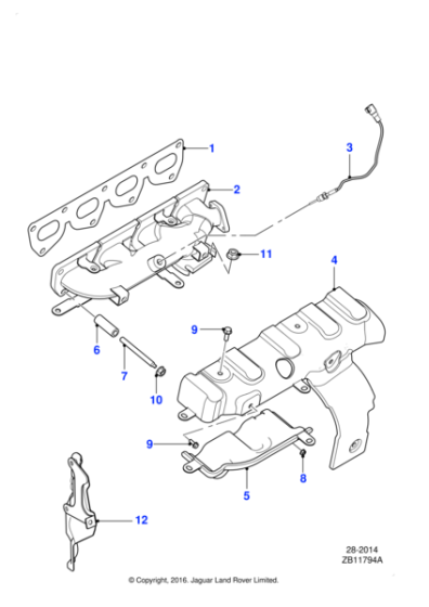 XR858324 - Jaguar Stud