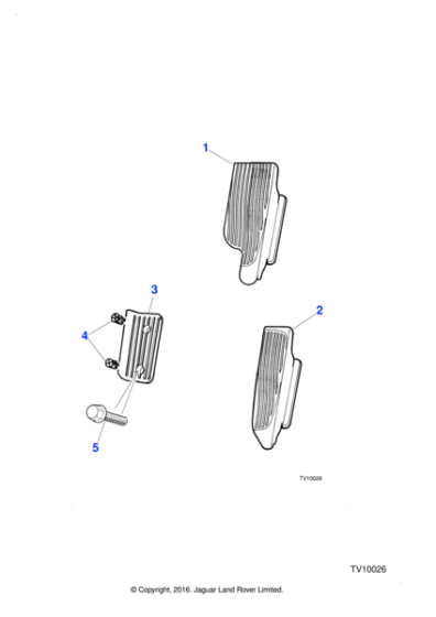 JZS100156 - Jaguar Paint clearing screw