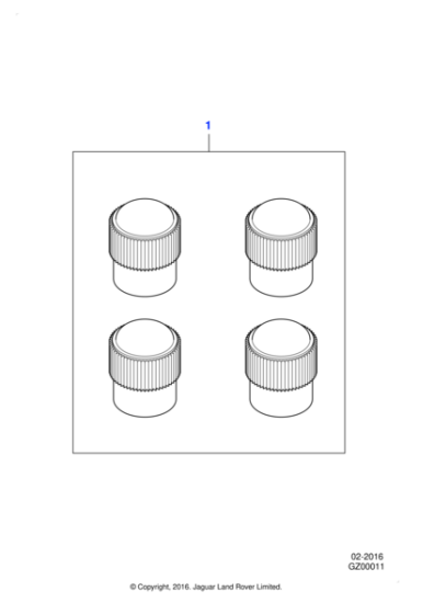 C2D60781 - Jaguar Valve caps