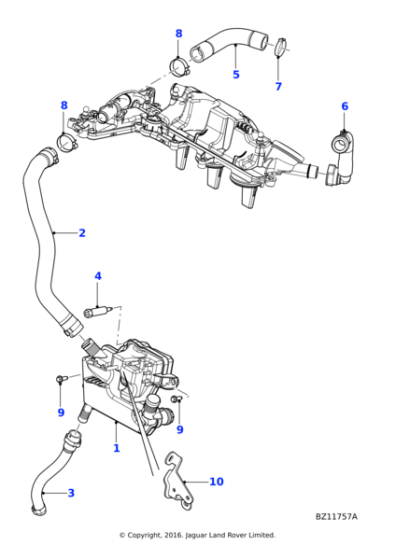 TLB1000 - Jaguar Hose