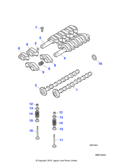 C2S41434 - Jaguar Spring