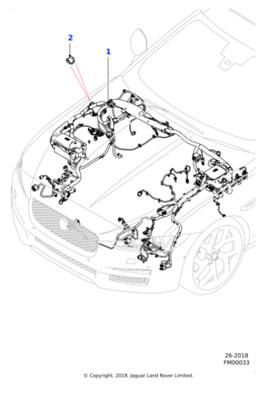 T2H29659 - Jaguar Harness