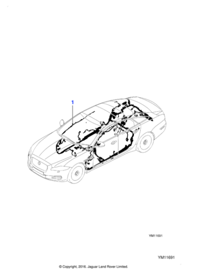 C2D56917 - Jaguar Body harness