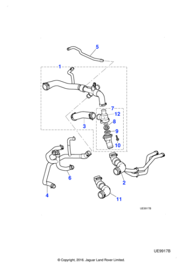 XR849445 - Jaguar Radiator top hose