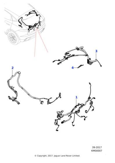 J9C8339 - Jaguar Harness