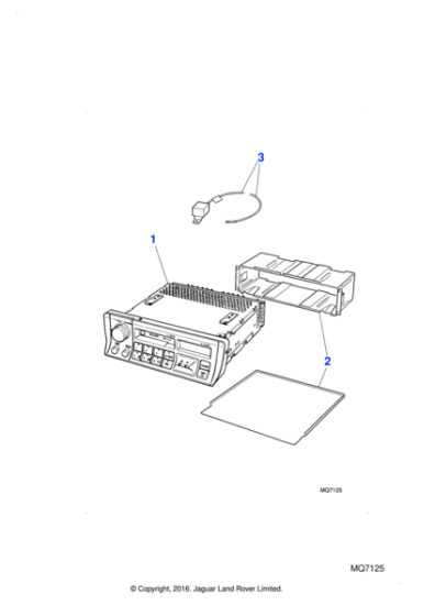 DBC11303 - Jaguar Radio