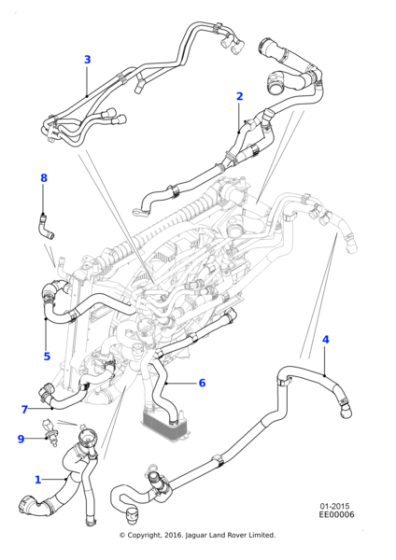T2H28579 - Jaguar Outlet hose