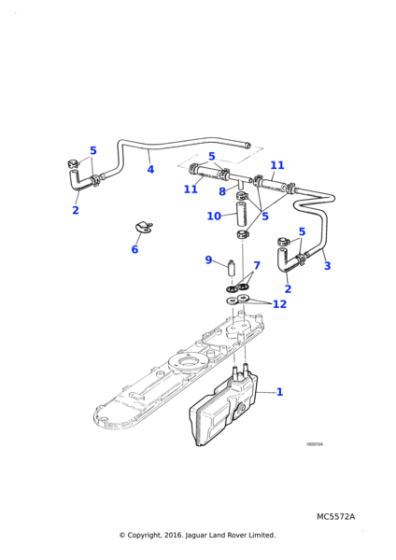 JHC300120 - Jaguar Hose band