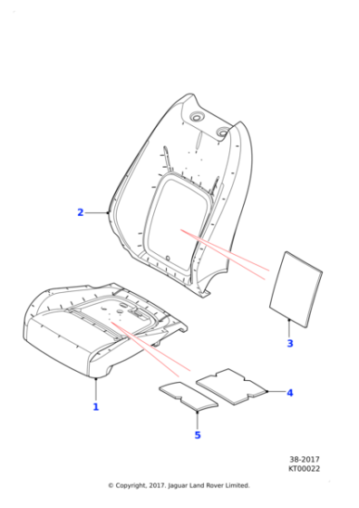 J9C6849 - Jaguar Squab pad