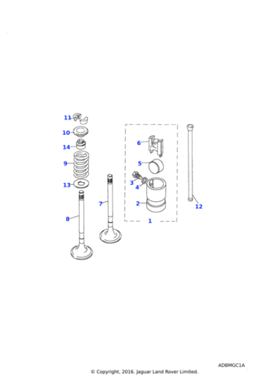 ERR1156 - Land Rover Valve-cylinder head exhaust