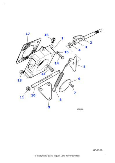 C209524 - Jaguar Bush