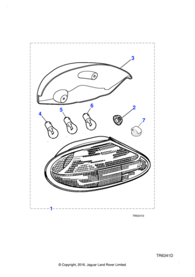 C2N3718 - Jaguar Lamp cluster