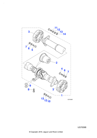 C2C36496 - Jaguar Special nut