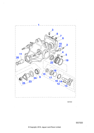 JLM20255 - Jaguar Oil-differential