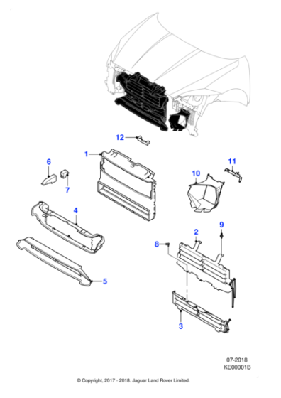 J9C26061 - Jaguar Shutter