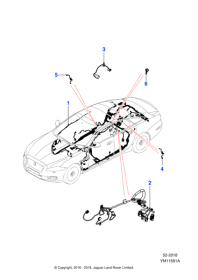 C2D25329 - Jaguar Harness