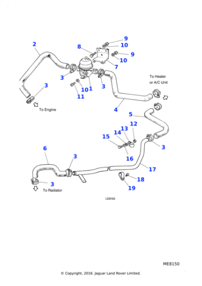 C41020 - Jaguar Hose